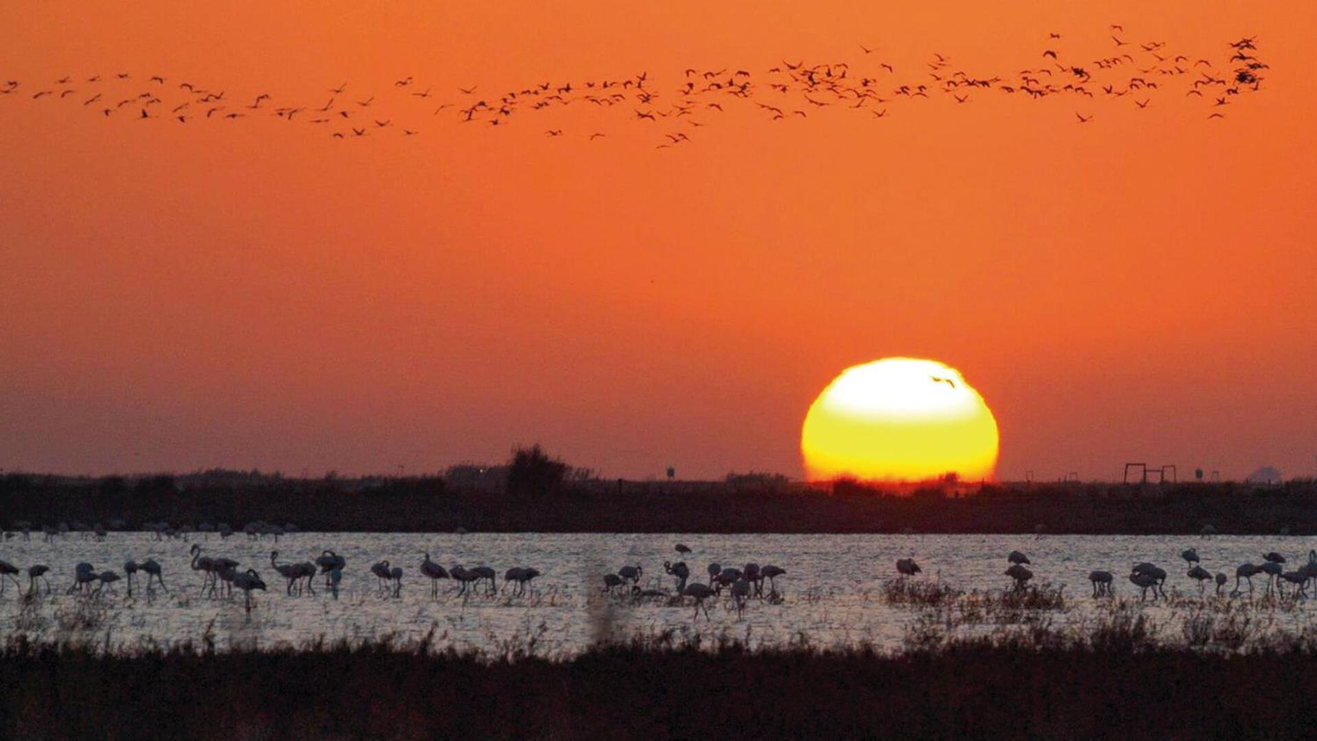 Sanlucarsun Apartamento Frente Al Mar Sanlúcar de Barrameda Zewnętrze zdjęcie